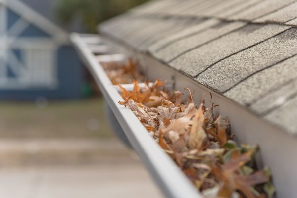Leaf Barrier Installation in North Fort Myers